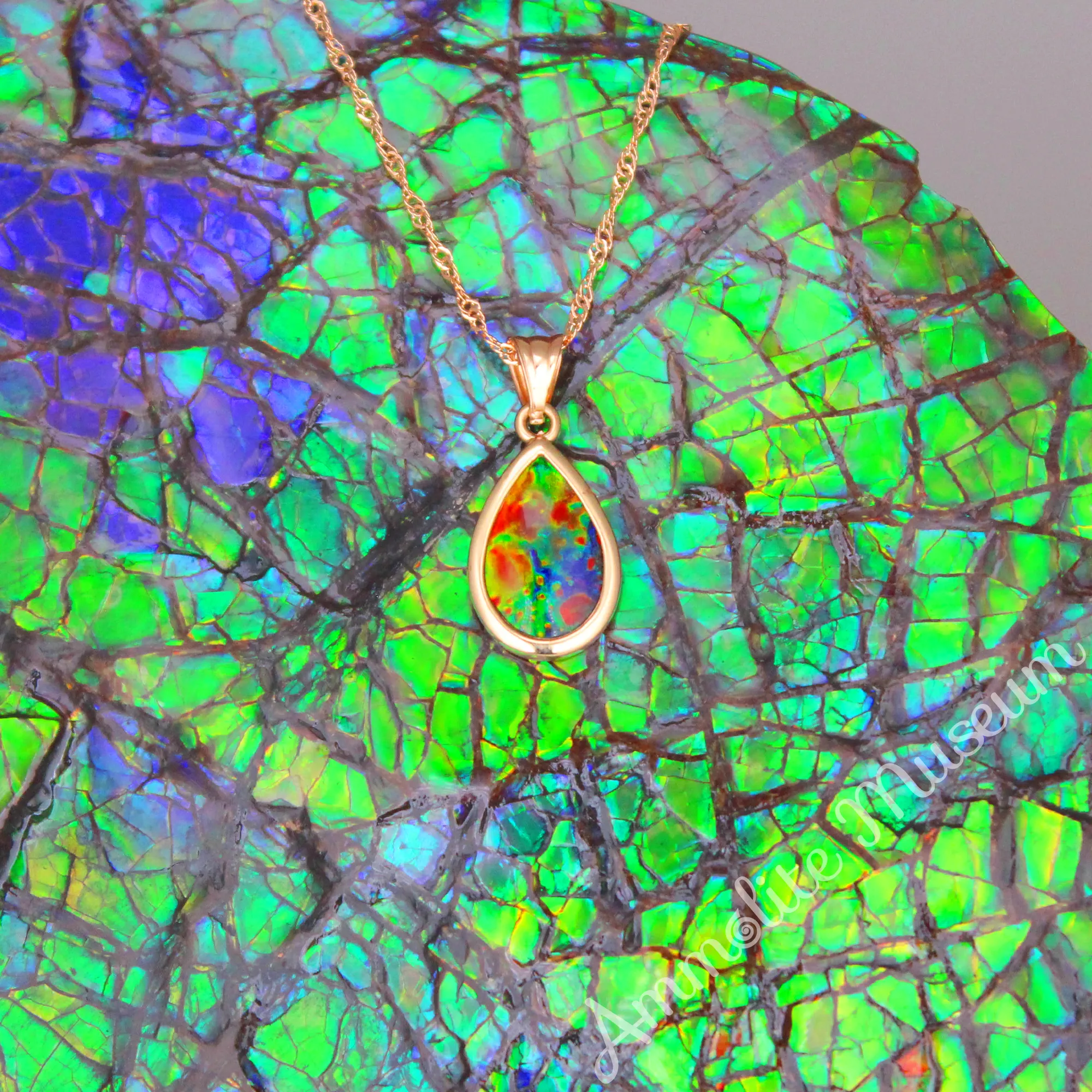 14K Gold Teardrop Ammolite Pendant