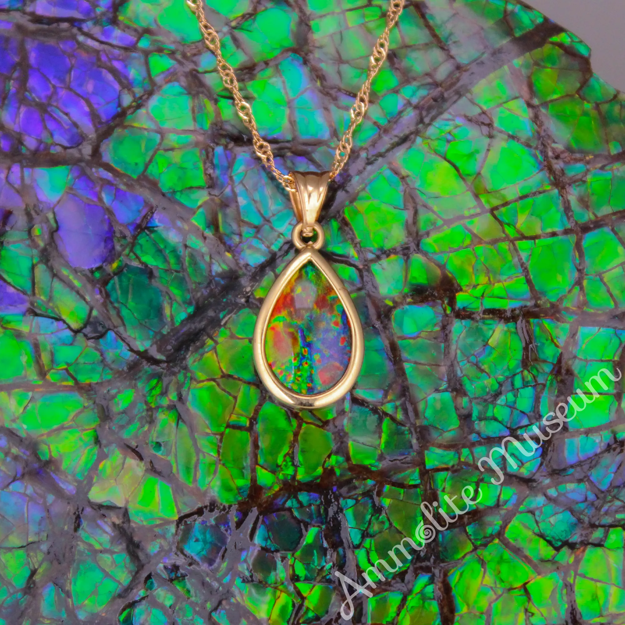 14K Gold Teardrop Ammolite Pendant