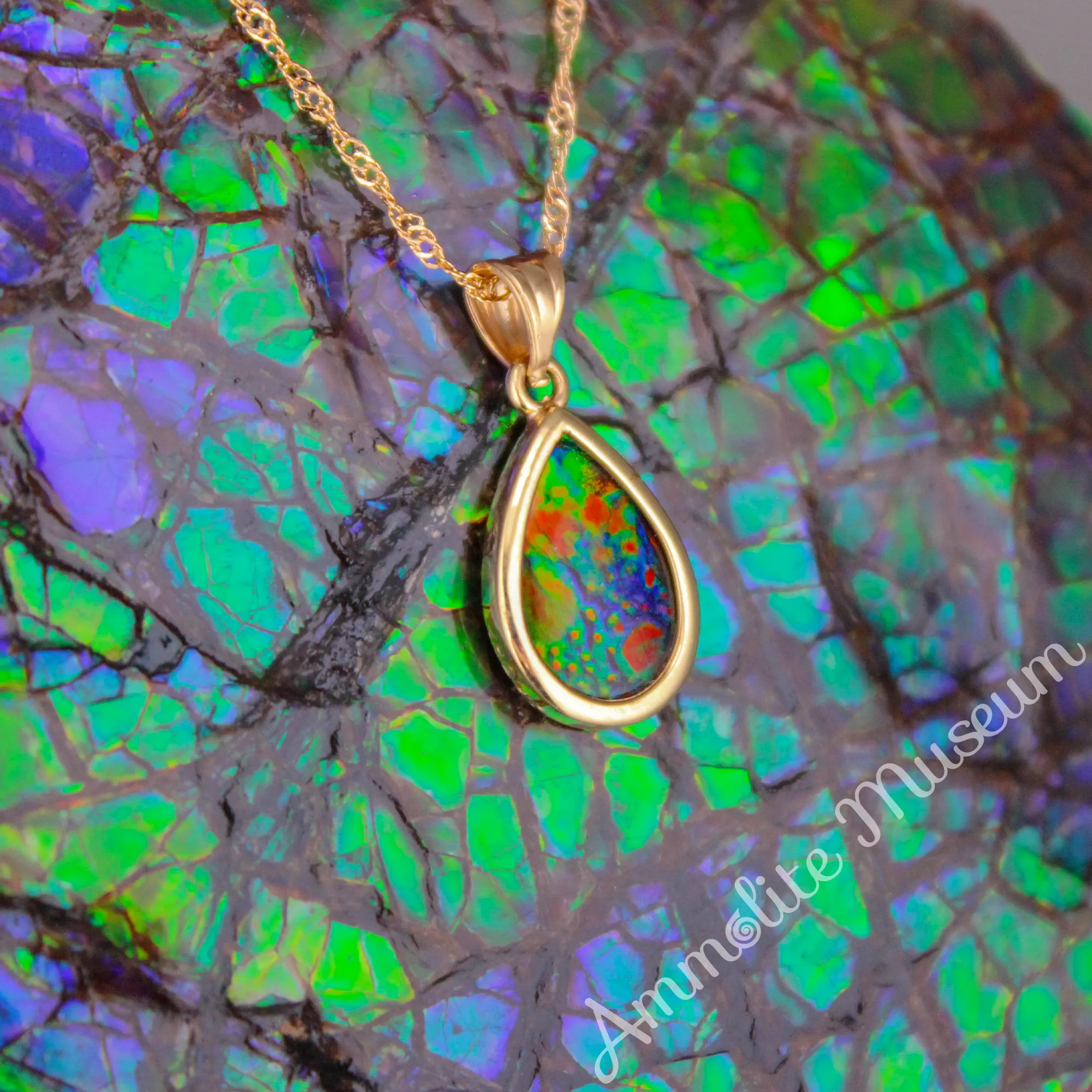 14K Gold Teardrop Ammolite Pendant