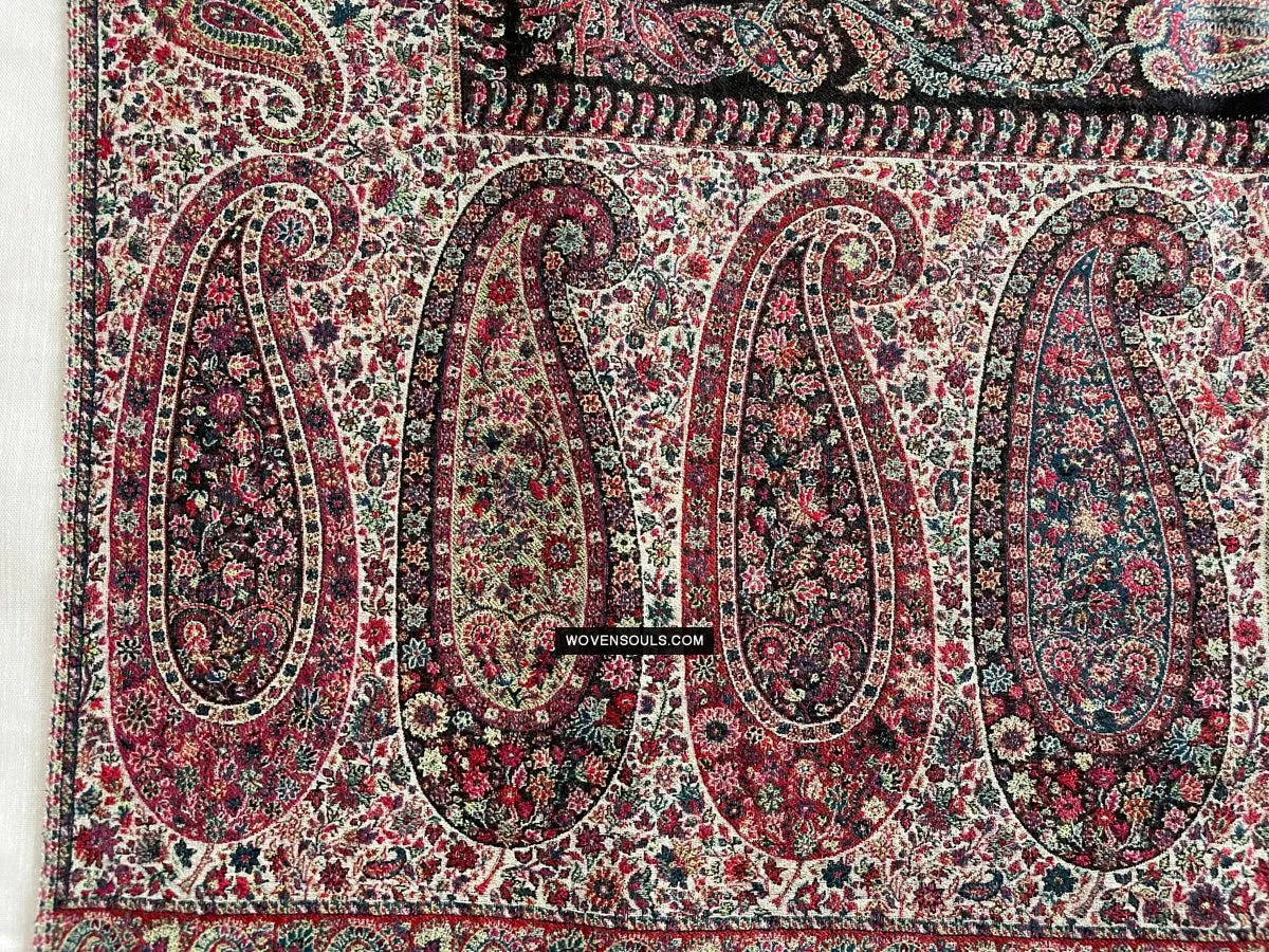 1695 SOLD Black Boteh Shawl from Kashmir