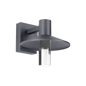 Ash 10 In. LED Hi-Output Outdoor Wall Sconce 1114 Lumens 2700K Surge Protection Gray Finish Clear Cylinder