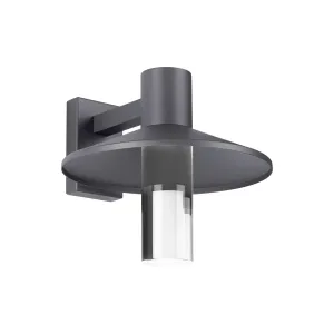 Ash 16 In. LED Outdoor Wall Sconce 591 Lumens 2700K Button Photocontrol Surge Protection Gray Finish