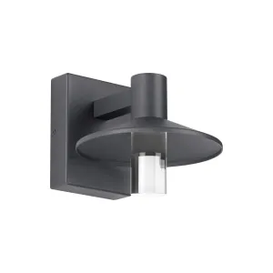 Ash 8 In. LED Hi-Output Outdoor Wall Sconce 1189 Lumens 3000K Button Photocontrol Surge Protection Gray Finish Clear Cylinder
