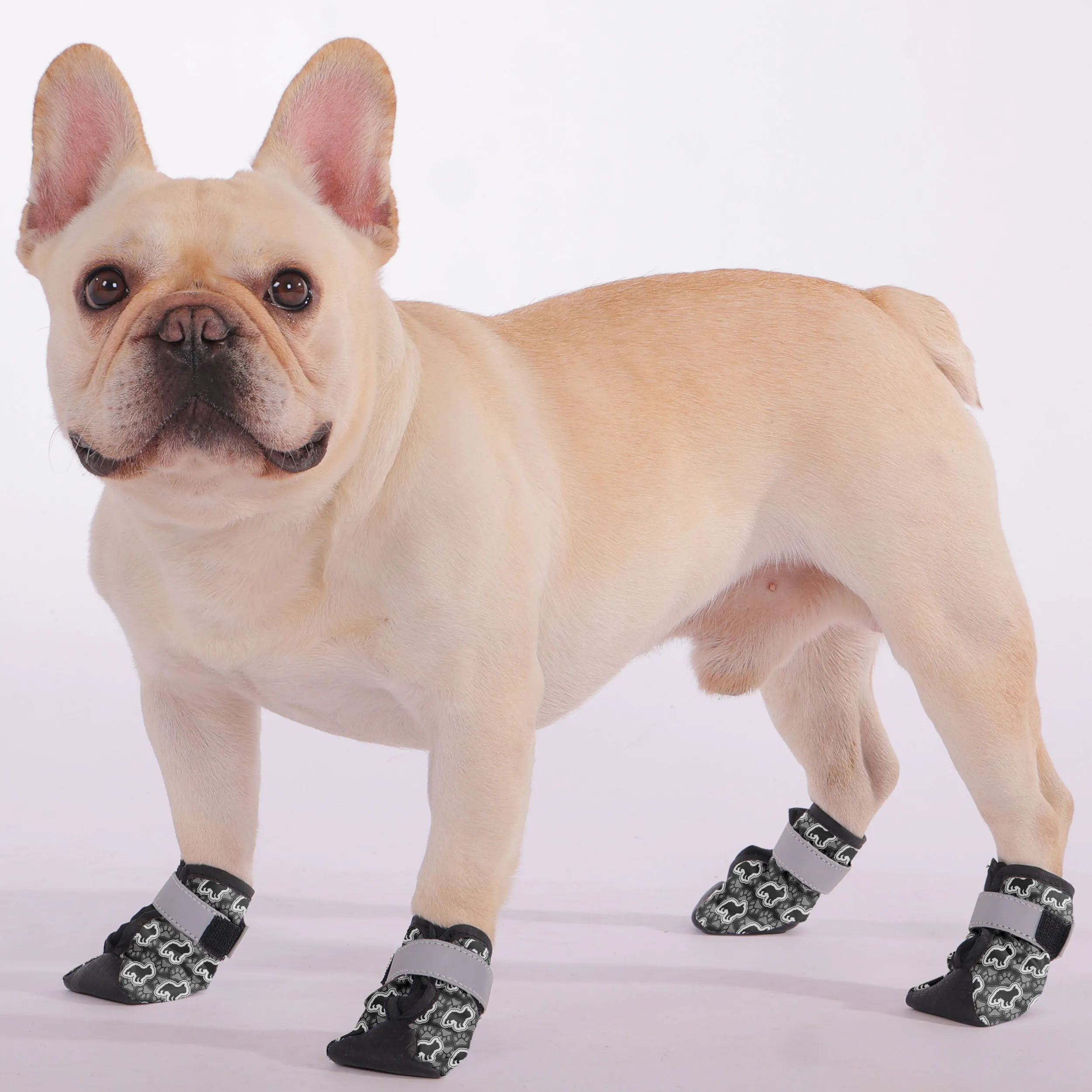 Basil - Premium Dog Socks & Boots for French Bulldogs
