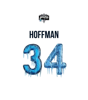 Boys 4th & 5th - Team PA Winter Series Player Shirt or Hoodie - Hoffman
