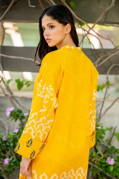Casual Pret '24 - Firefly Kurta