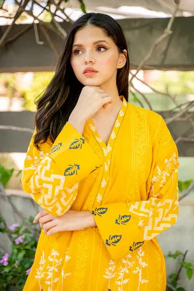 Casual Pret '24 - Firefly Kurta