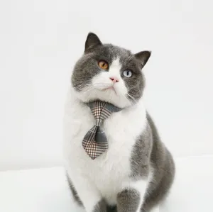 Cat Formal Neck Tie - Grey Plaid