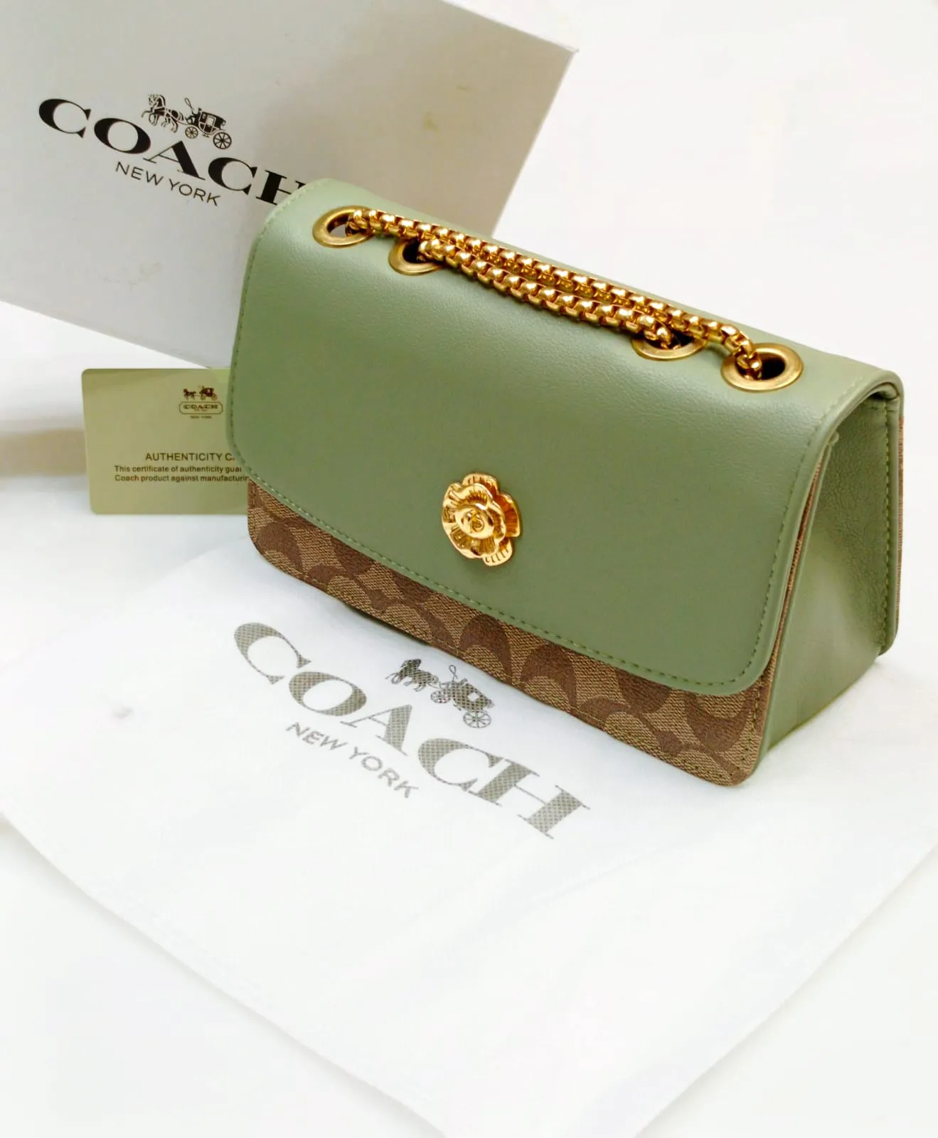 Coach High-Quality Imported Crossbody Bag for Women (Green)