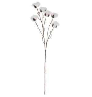 COTTON STEM
