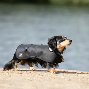 Country and Twee Waterproof Black Dachshund Dog Coat