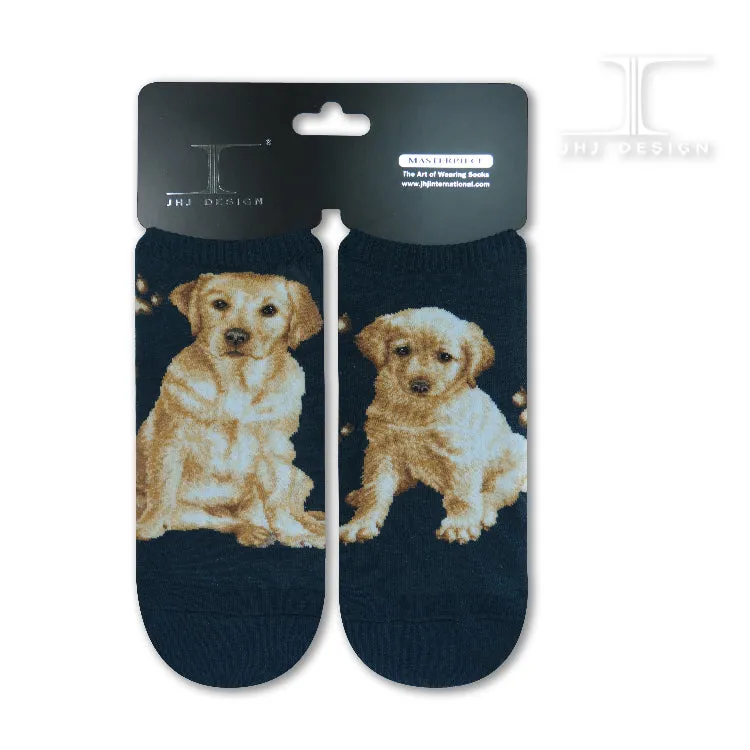 Dogs Ankles - Labrador