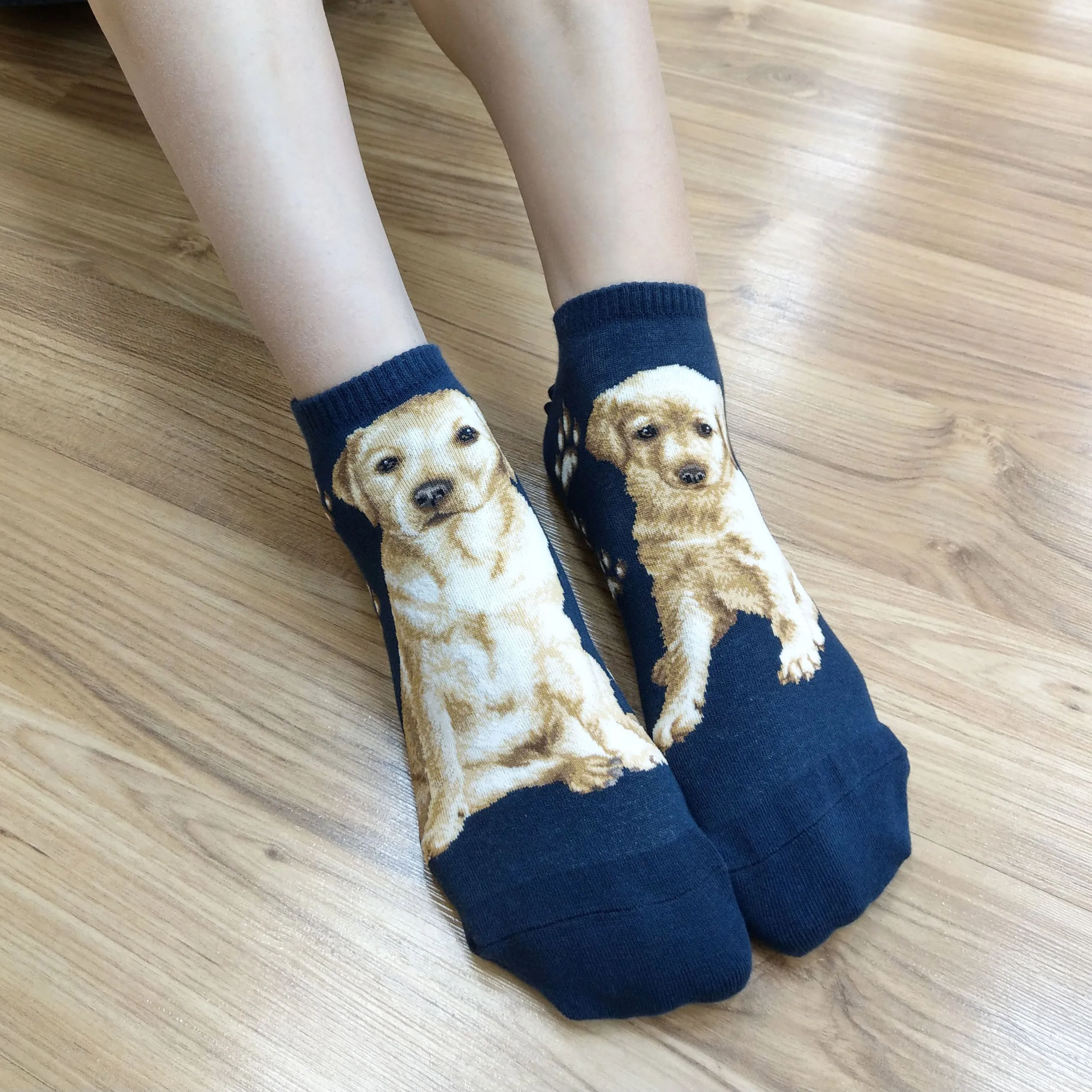 Dogs Ankles - Labrador