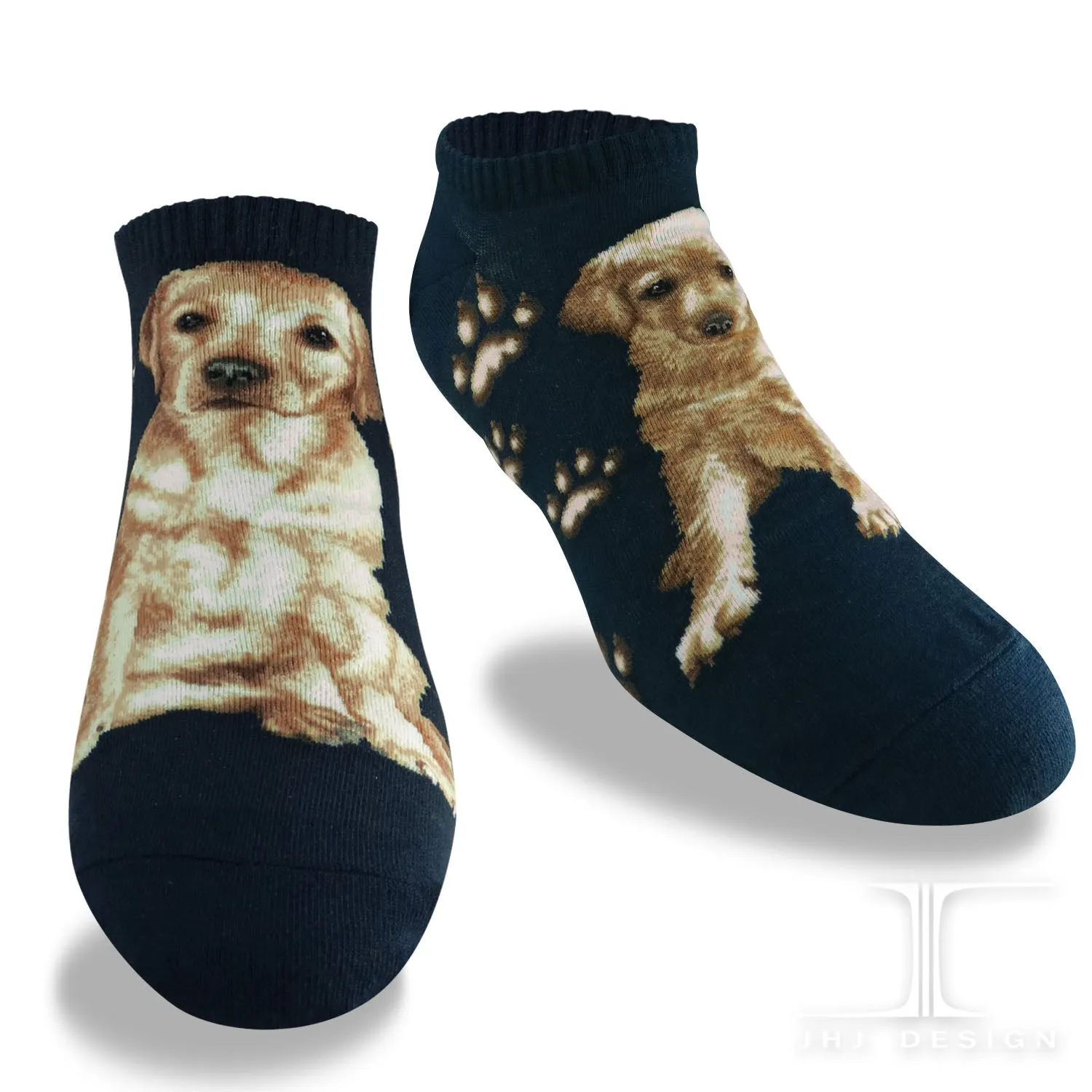Dogs Ankles - Labrador