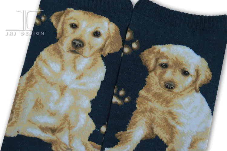 Dogs Ankles - Labrador
