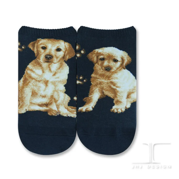 Dogs Ankles - Labrador