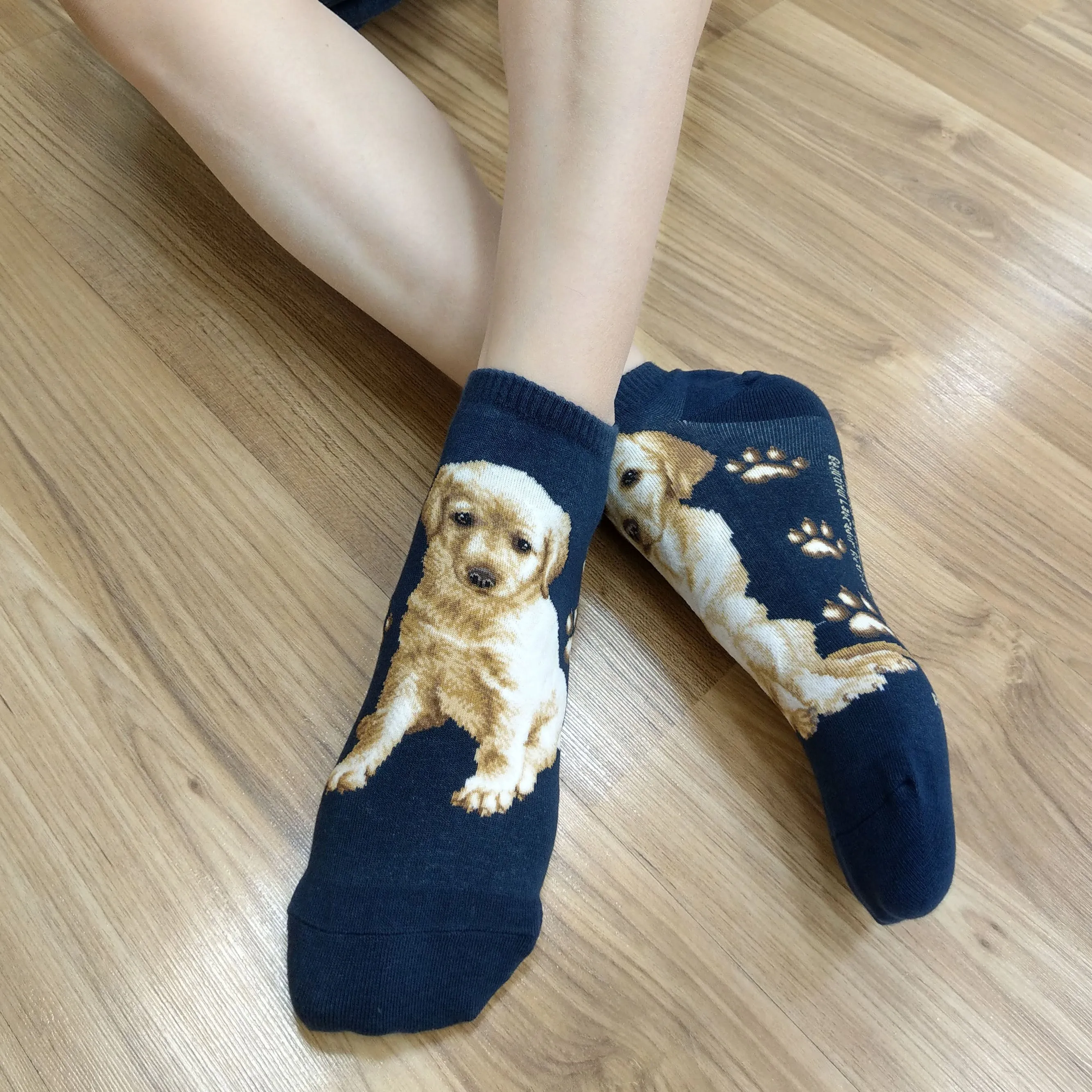 Dogs Ankles - Labrador