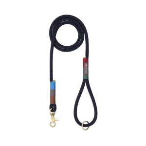 Everyday Dog Leash | Winter