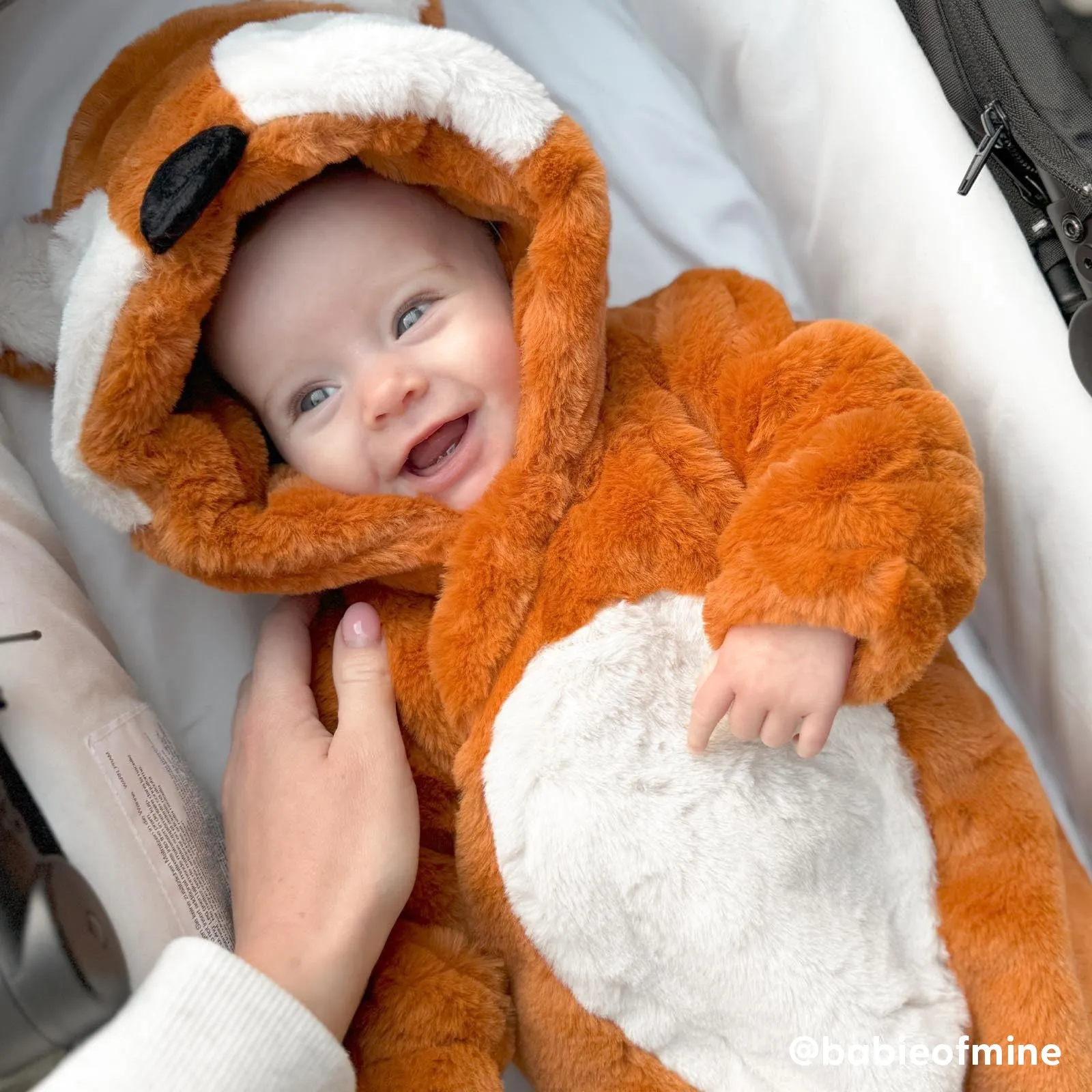 Fox Faux Fur Pramsuit