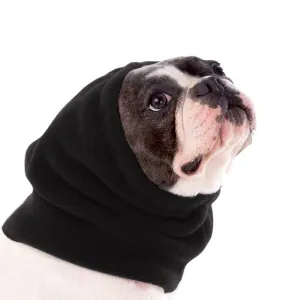 French Bulldog Hood