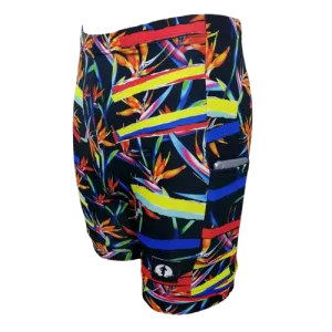 Funky Pants Classic - Strelitzia Stripes