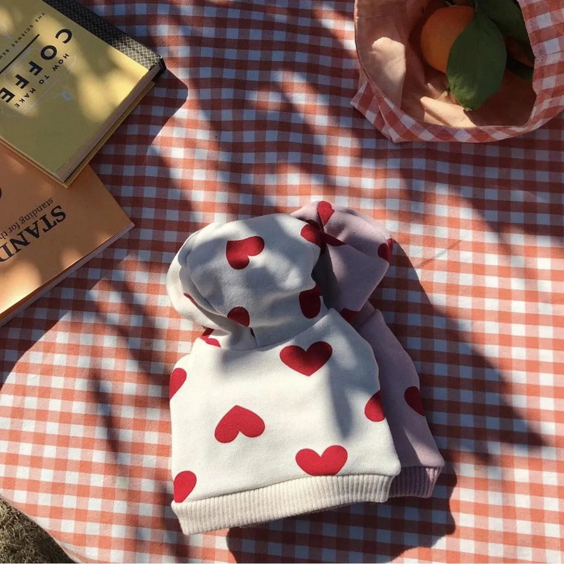 Heart Shape Pattern Autumn Winter Pet Love Hoodie