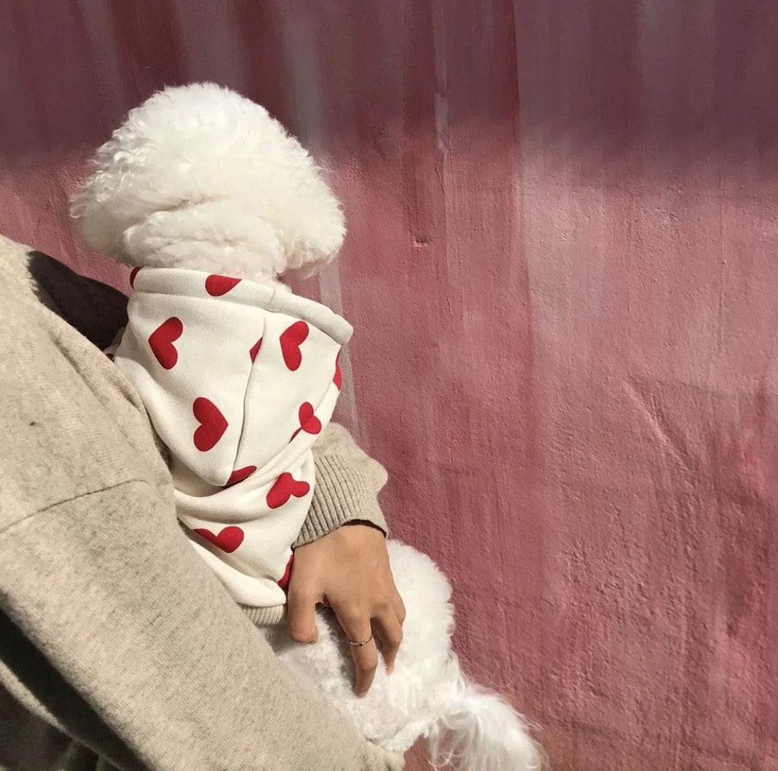 Heart Shape Pattern Autumn Winter Pet Love Hoodie