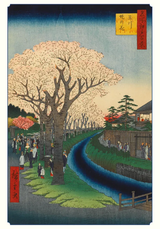 Hiroshige Cherry Blossom Box 20 Notecards