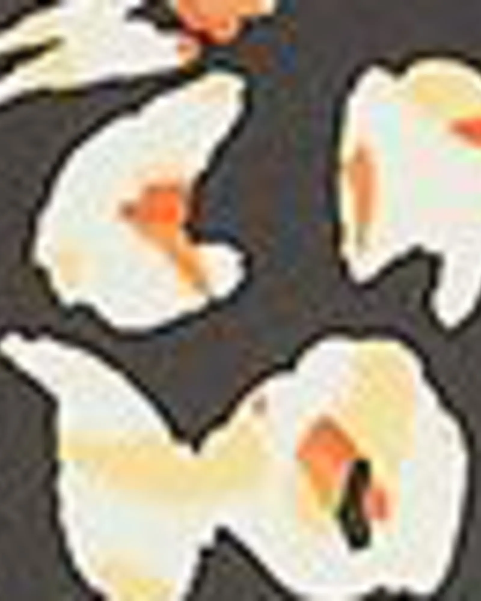 Jessica Mixed Media Top | Black / Orange