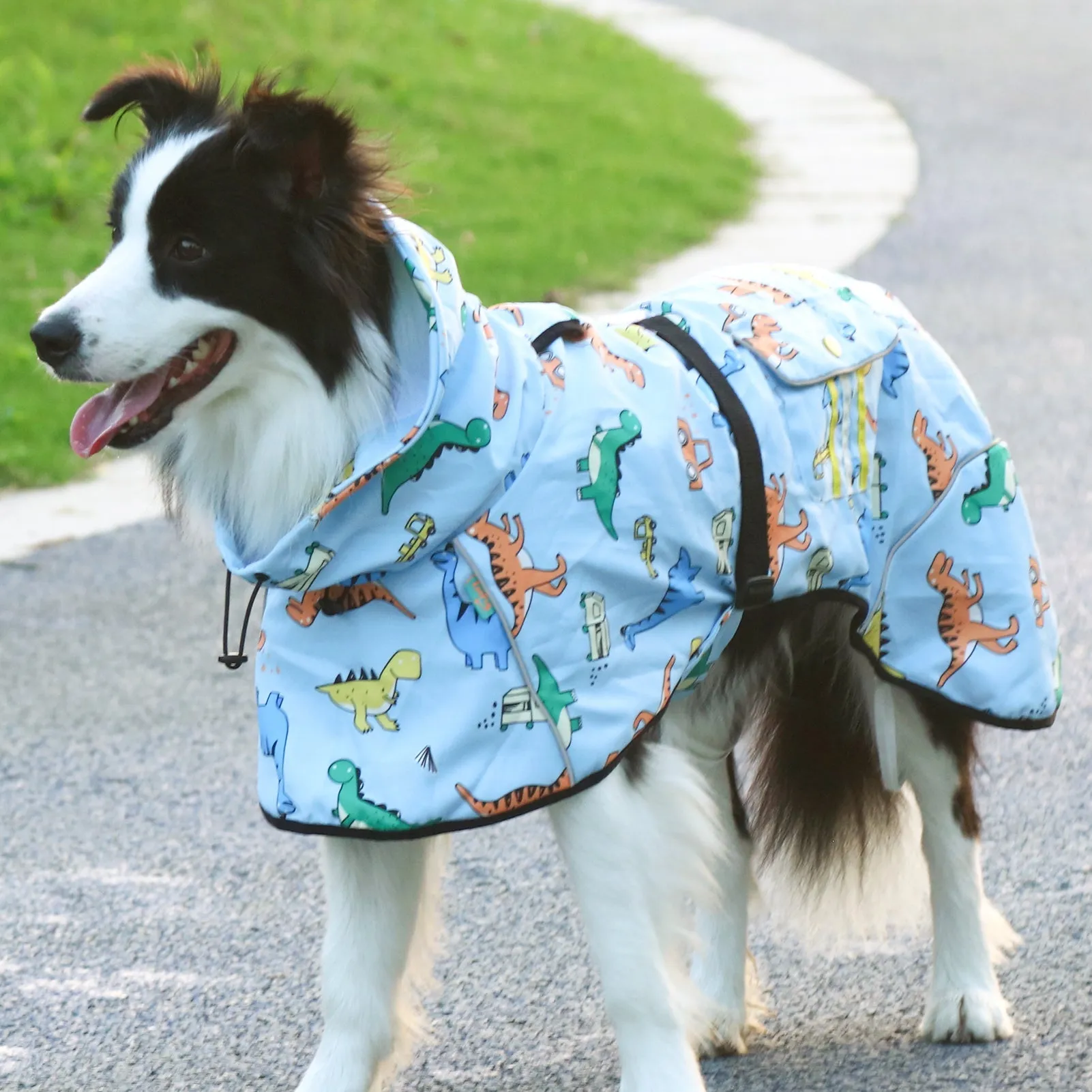 Laifug Dog Raincoat, Dinosaur Print Dog Rain Jacket