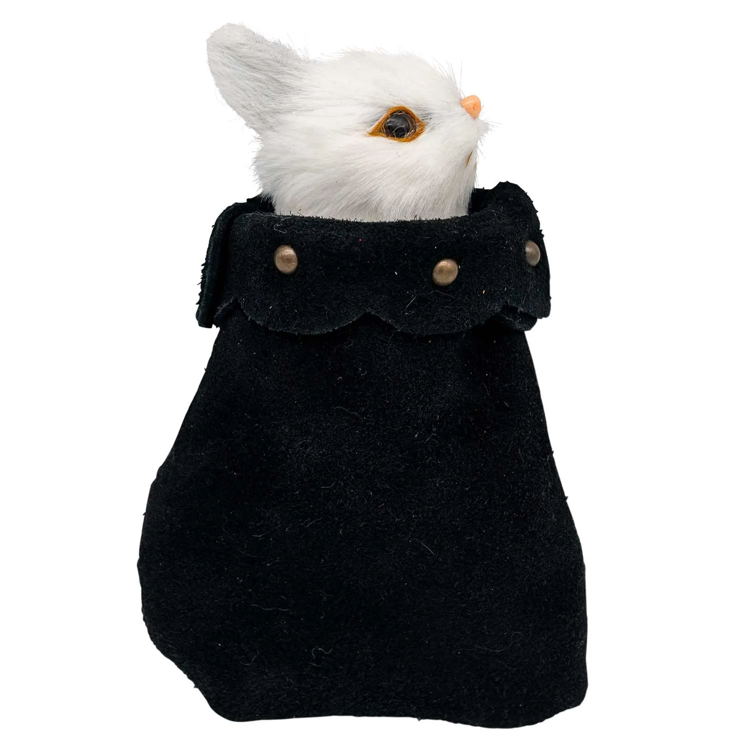 Pet Companion Roger