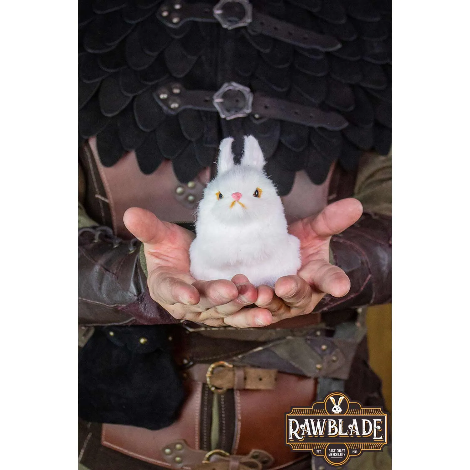 Pet Companion Roger