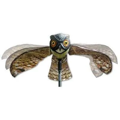 Prowler Owl