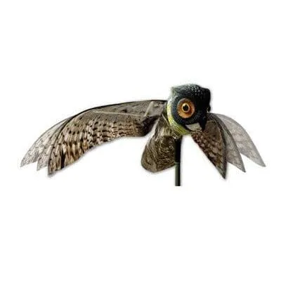 Prowler Owl