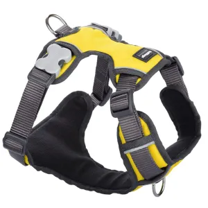 Red Dingo Padded Dog Harness (Large)