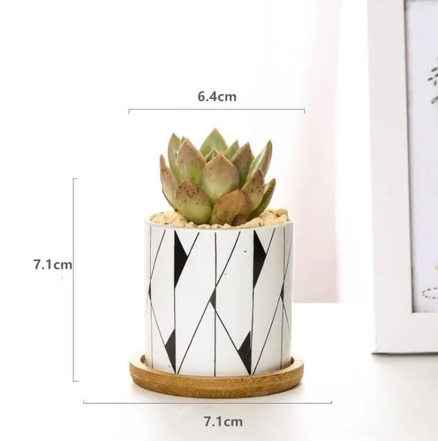 Rory - Round Geometric Pattern Flower Pot