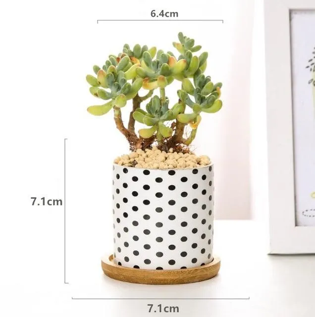 Rory - Round Geometric Pattern Flower Pot