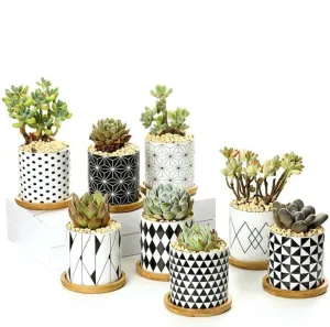 Rory - Round Geometric Pattern Flower Pot