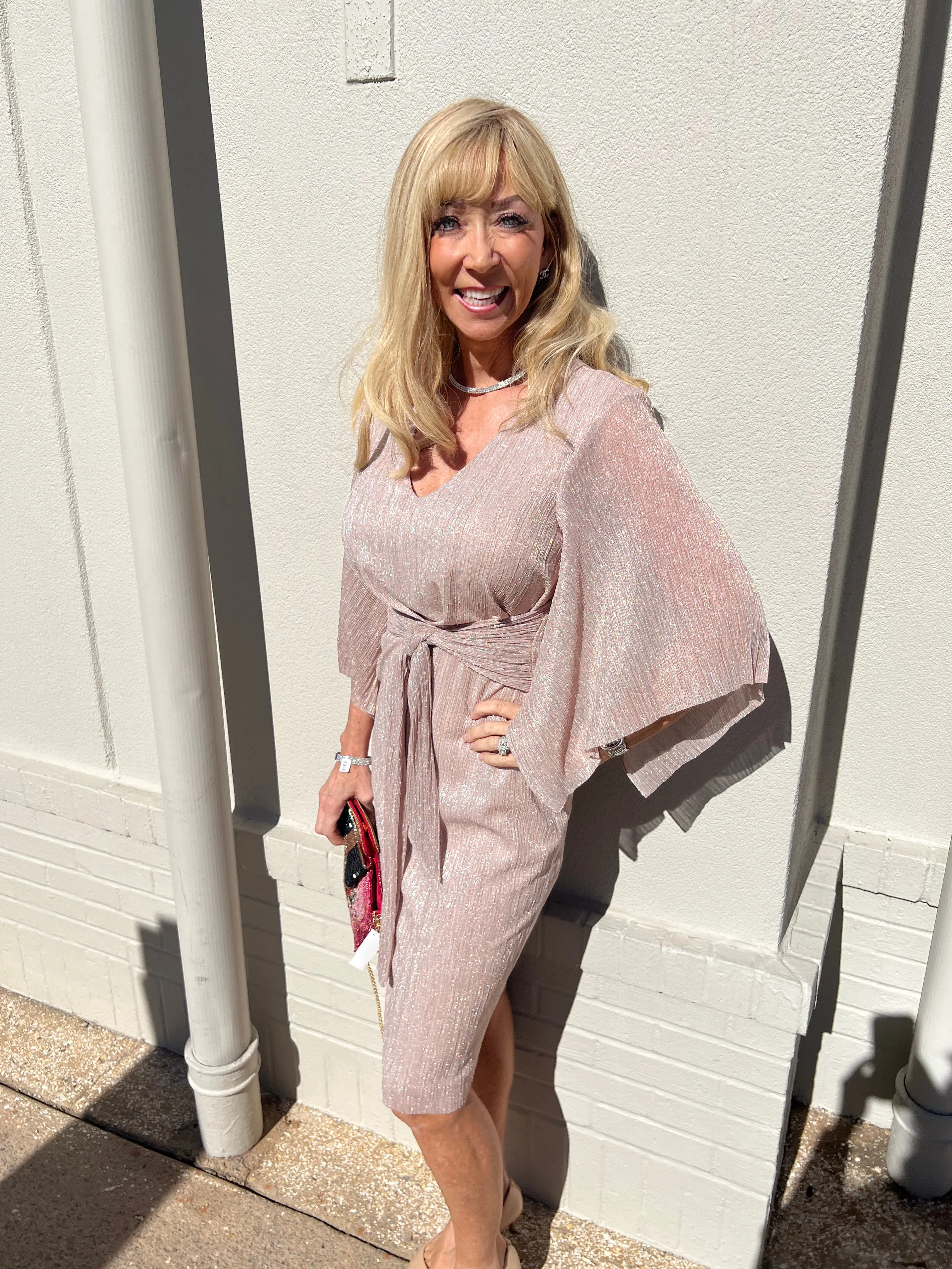 Rose Shimmer Dress - JOSEPH RIBKOFF 231715
