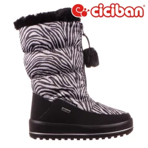 Snow Zebra 58
