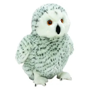 Snowy Owl