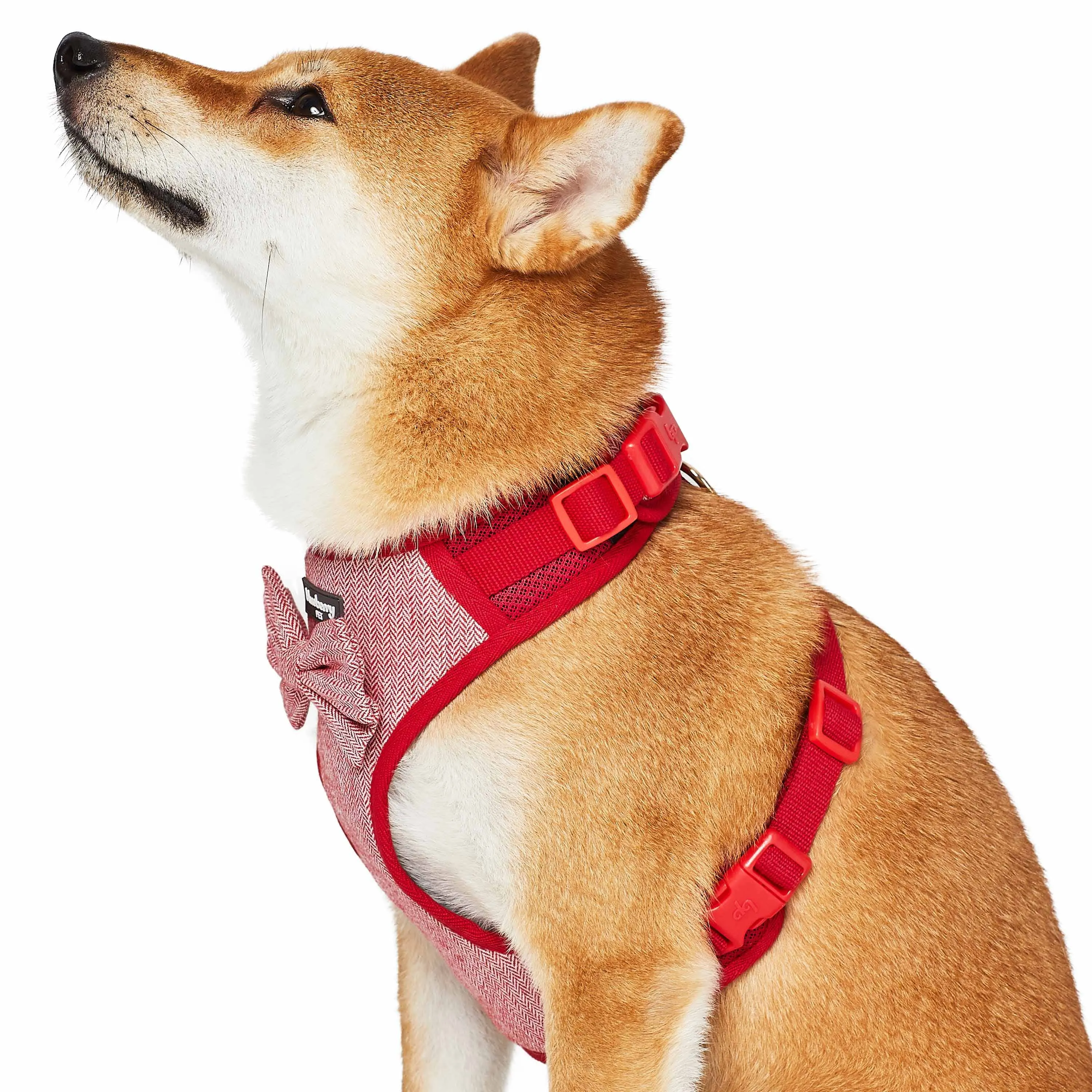 Textured Tweed Dog Harness Vest