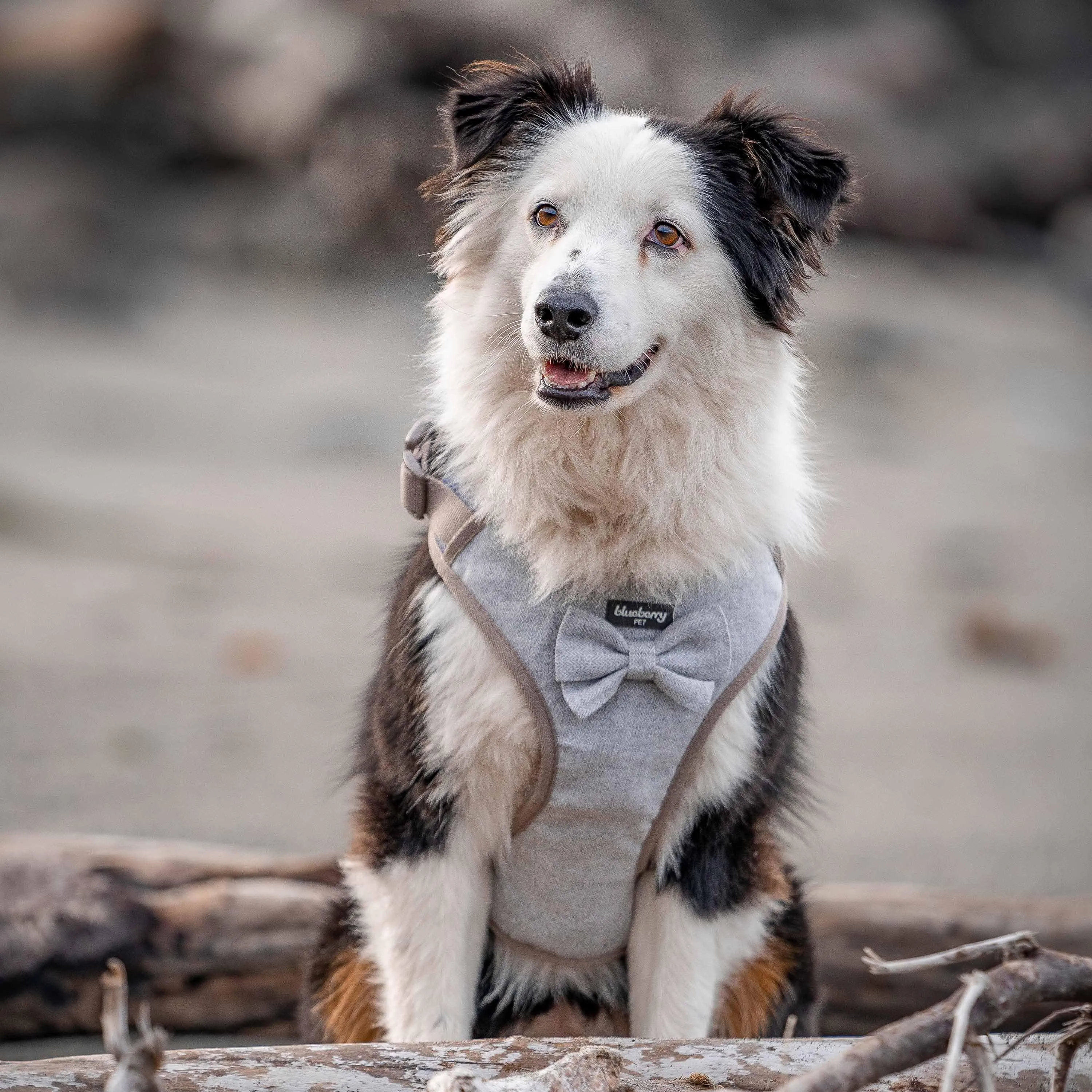 Textured Tweed Dog Harness Vest