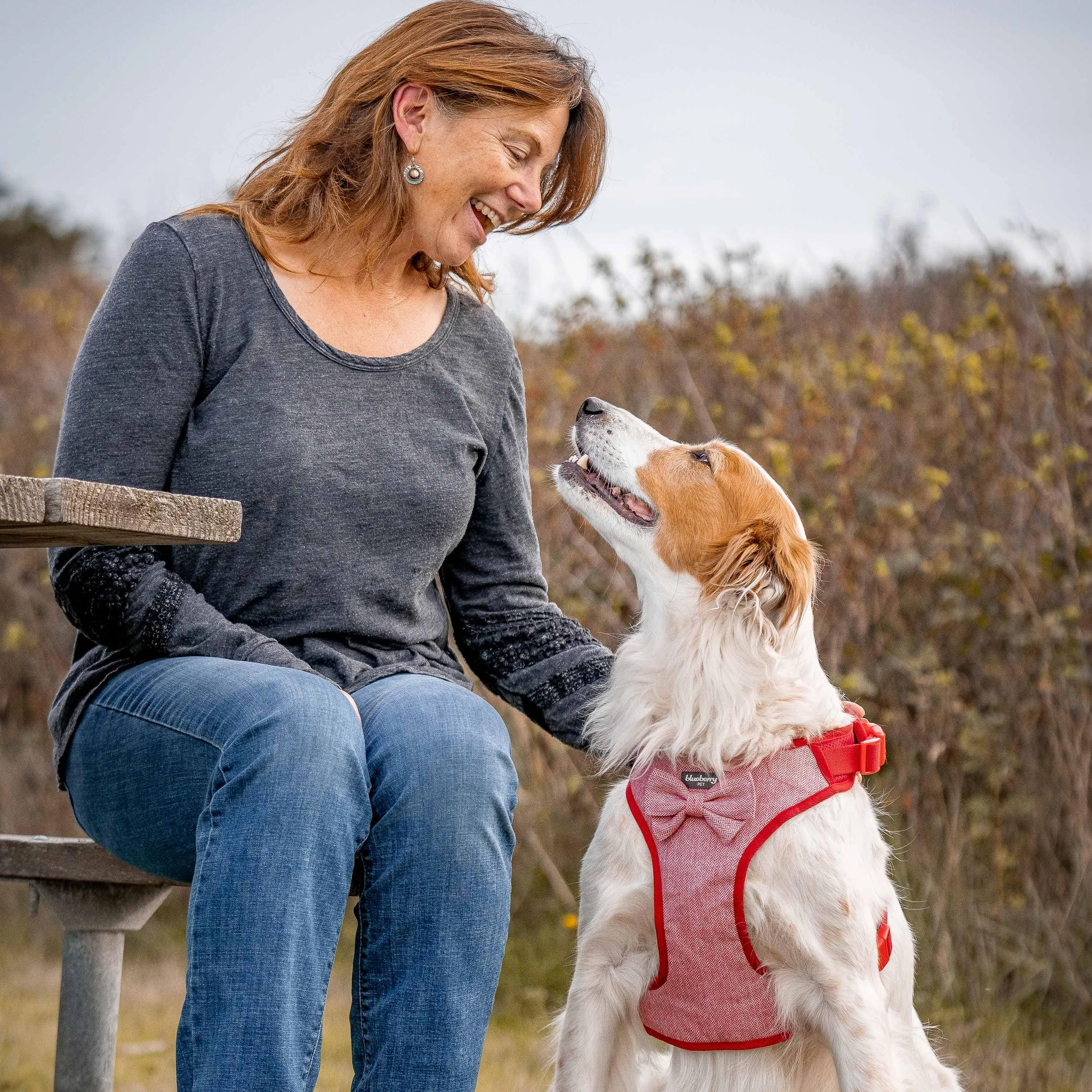 Textured Tweed Dog Harness Vest