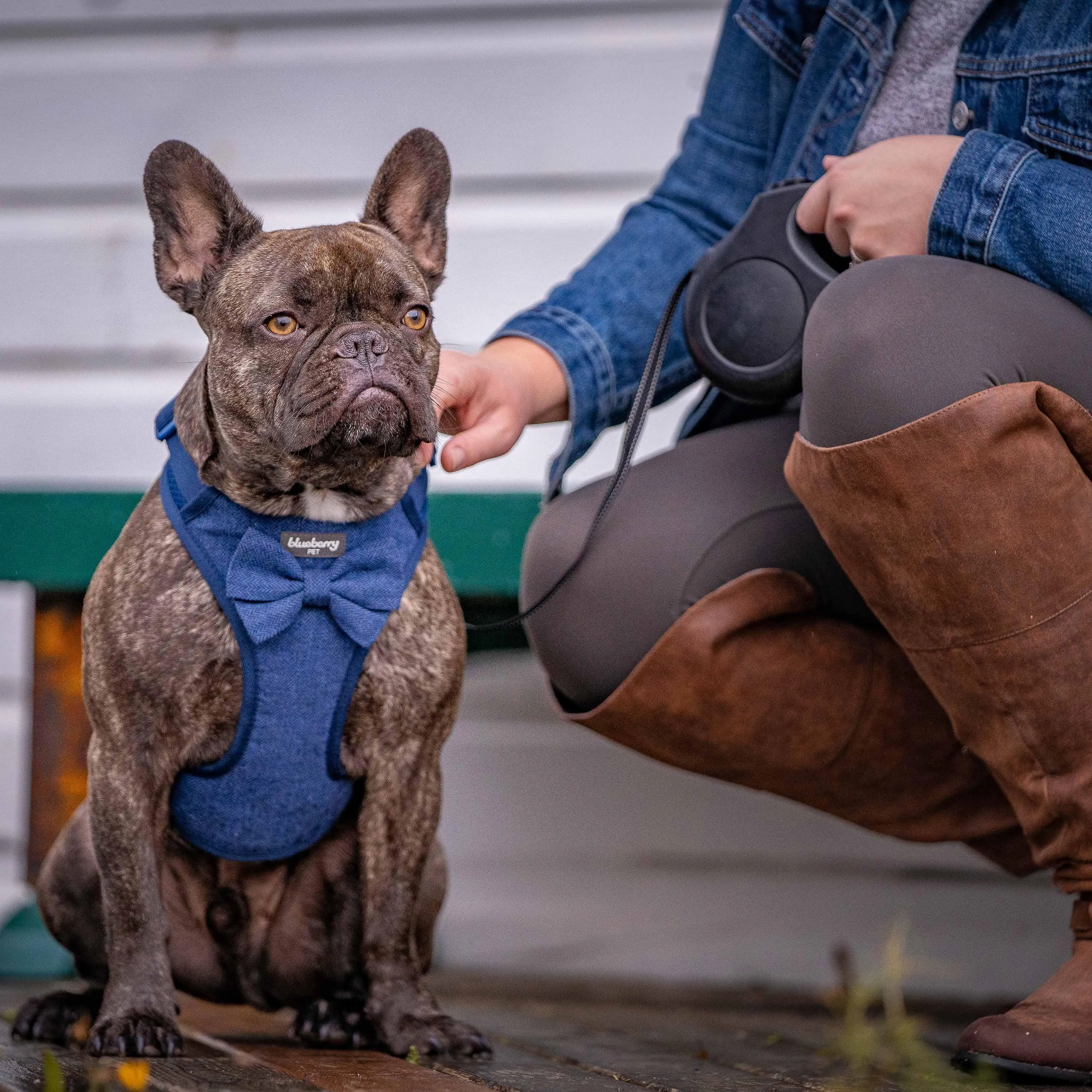 Textured Tweed Dog Harness Vest