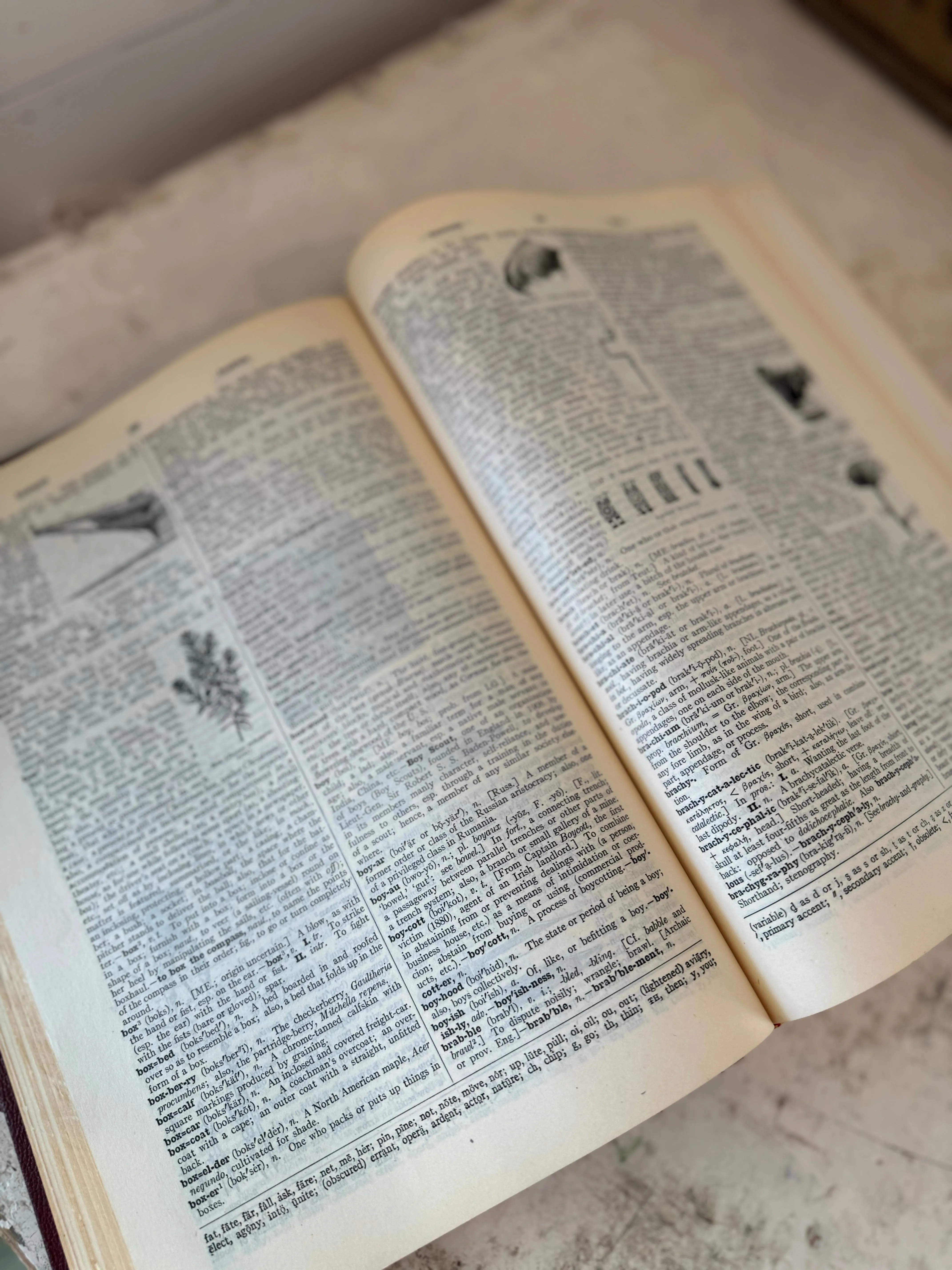 The New Century Dictionary