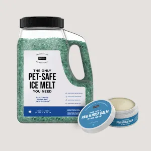 The Only Winter Paw Protection Dogs Need