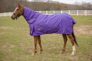 TuffRider 1200 D Comfy Winter Medium Weight Turnout Blanket w/ Detachable Neck