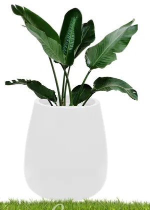 White Tulum Fibre Planter FLTB -03
