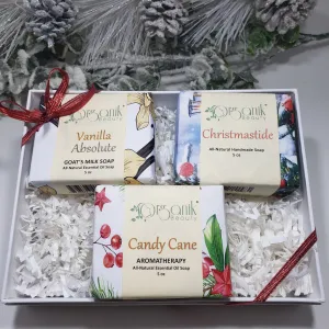 Winter Collection - All Natural Handmade Soaps